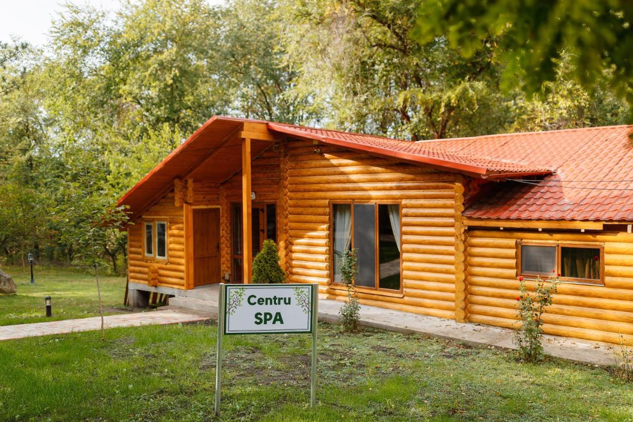 Sky Land Camping & Resort Cricova Esterno foto