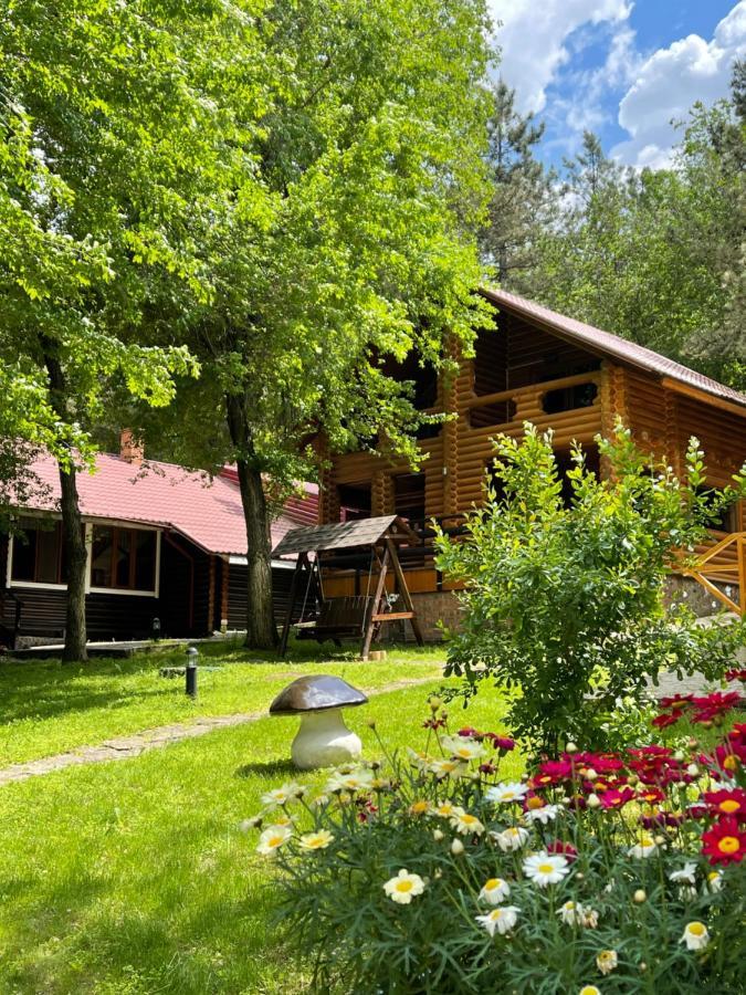 Sky Land Camping & Resort Cricova Esterno foto