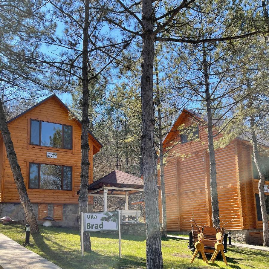 Sky Land Camping & Resort Cricova Esterno foto